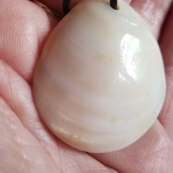 Vintage seashell pendant mother of pearl ocean coastal gold tone beach shell - Picture 7 of 10